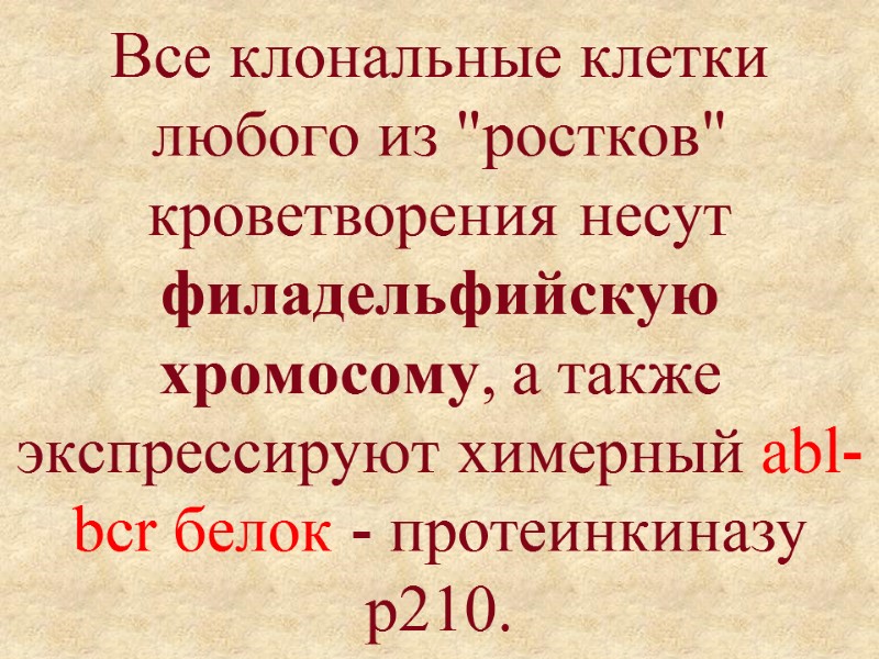 Все клональные клетки любого из 